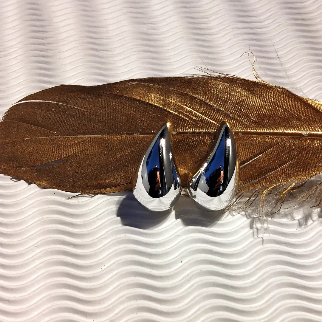 Stainless Steel Drop Earrings