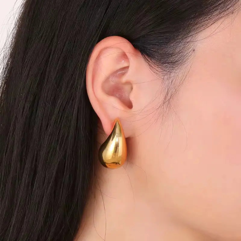 Stainless Steel Drop Earrings